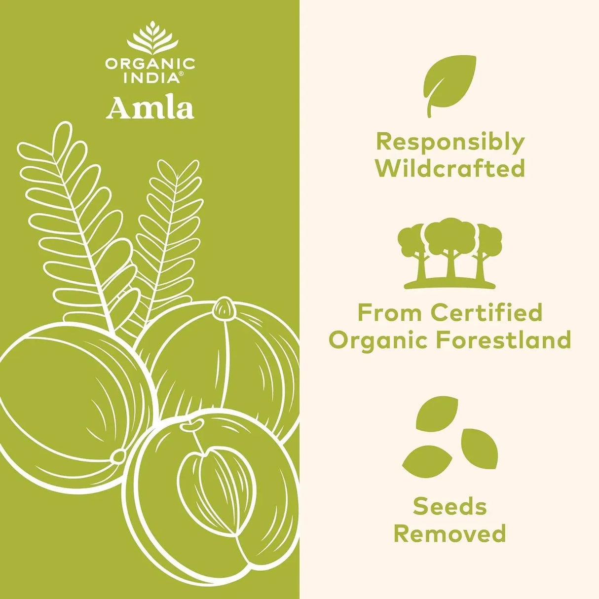 ORGANIC INDIA - ORGANIC INDIA Amla 90 Capsulas - The Red Vitamin MX - Suplementos Alimenticios - {{ shop.shopifyCountryName }}