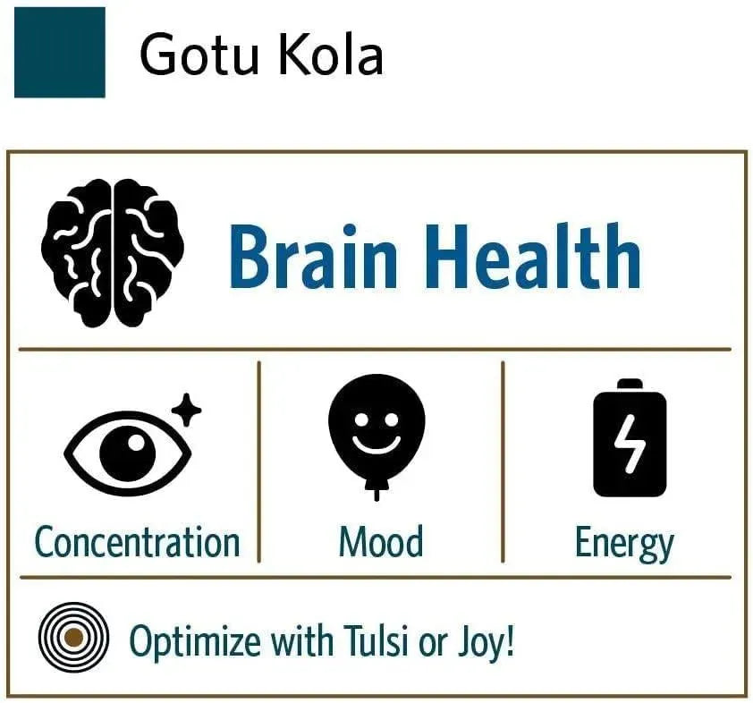 ORGANIC INDIA - Organic India Gotu Kola Herbal Supplement 90 Capsulas - The Red Vitamin MX - Suplementos Alimenticios - {{ shop.shopifyCountryName }}