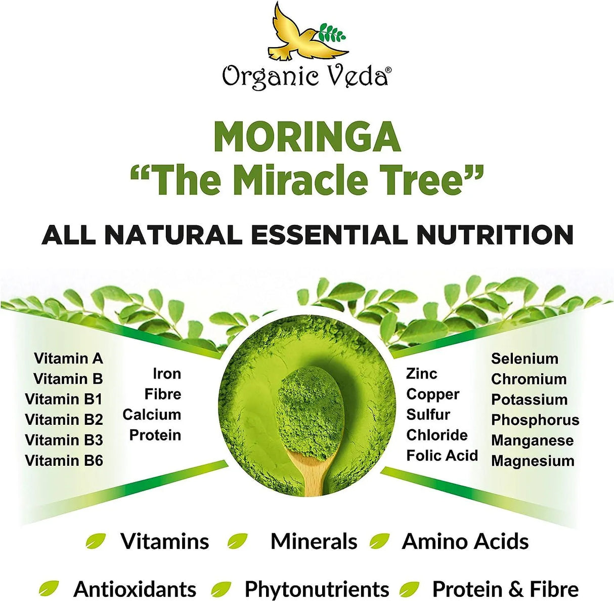 ORGANIC VEDA - Organic Veda Moringa Powder 16Oz. - The Red Vitamin MX - Suplementos Alimenticios - {{ shop.shopifyCountryName }}