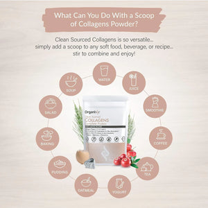 ORGANIXX - Organixx Clean Sourced Collagen Powder 170Gr. - The Red Vitamin MX - Suplementos Alimenticios - {{ shop.shopifyCountryName }}