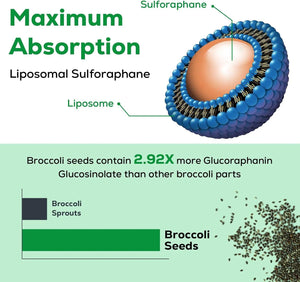 OSASUNA - Osasuna Liposomal Sulforaphane 450Mg. 180 Capsulas Blandas - The Red Vitamin MX - Suplementos Alimenticios - {{ shop.shopifyCountryName }}