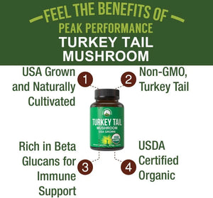 PEAK PERFORMANCE - Peak Performance Organic Turkey Tail 60 Capsulas - The Red Vitamin MX - Suplementos Alimenticios - {{ shop.shopifyCountryName }}