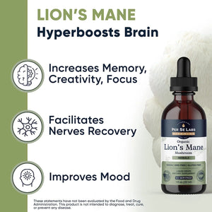 PER SE LABS - Per Se Labs Lion's Mane Mushroom Supplement Liquid Drops 30Ml. - The Red Vitamin MX - Suplementos Alimenticios - {{ shop.shopifyCountryName }}