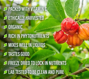 PERFECT SUPPLEMENTS - Perfect Supplements Perfect Acerola Powder 156Gr. - The Red Vitamin MX - Suplementos Alimenticios - {{ shop.shopifyCountryName }}