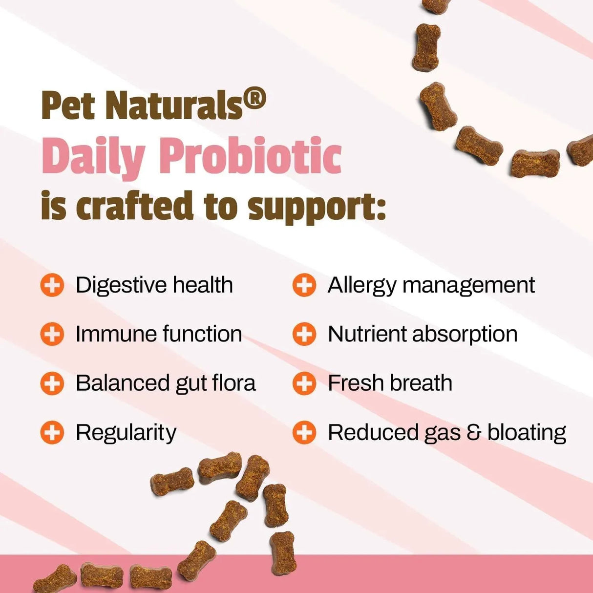 PET NATURALS - Pet Naturals Daily Probiotic for Dogs 60 Masticables - The Red Vitamin MX - Probióticos Para Perros - {{ shop.shopifyCountryName }}