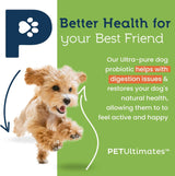 PET ULTIMATES - Pet Ultimates Probiotics for Dogs 137Gr. - The Red Vitamin MX - Probióticos Para Perros - {{ shop.shopifyCountryName }}