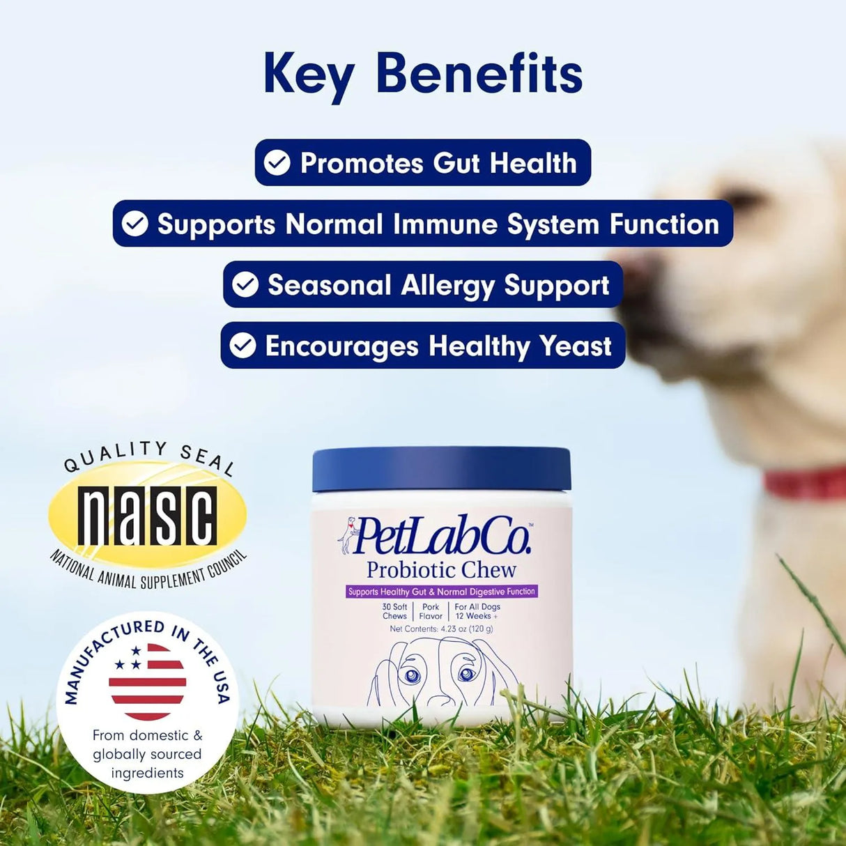 PETLAB CO. - PetLab Co. Probiotics for Dogs Pork Flavor 30 Masticables - The Red Vitamin MX - Probióticos Para Perros - {{ shop.shopifyCountryName }}