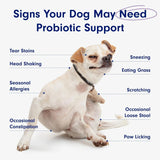 PETLAB CO. - PetLab Co. Probiotics for Dogs Salmon Flavor 30 Masticables - The Red Vitamin MX - Probióticos Para Perros - {{ shop.shopifyCountryName }}