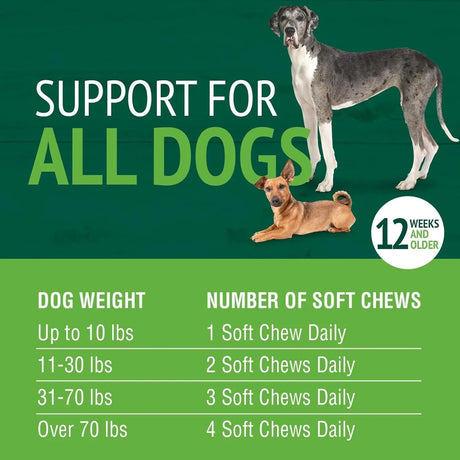 PETNC - PetNC Natural Care Liver Flavor Cheese Pre & Probiotic 120 Masticables - The Red Vitamin MX - Probióticos Para Perros - {{ shop.shopifyCountryName }}