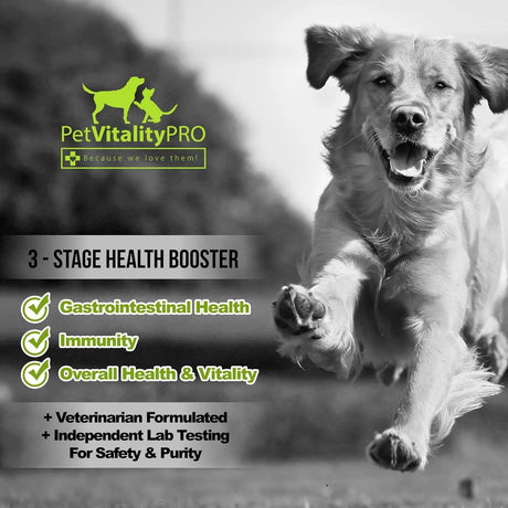 PETVITALITYPRO - PetVitalityPRO Probiotics for Dogs with Natural Digestive Enzymes 60 Masticables - The Red Vitamin MX - Probióticos Para Perros - {{ shop.shopifyCountryName }}