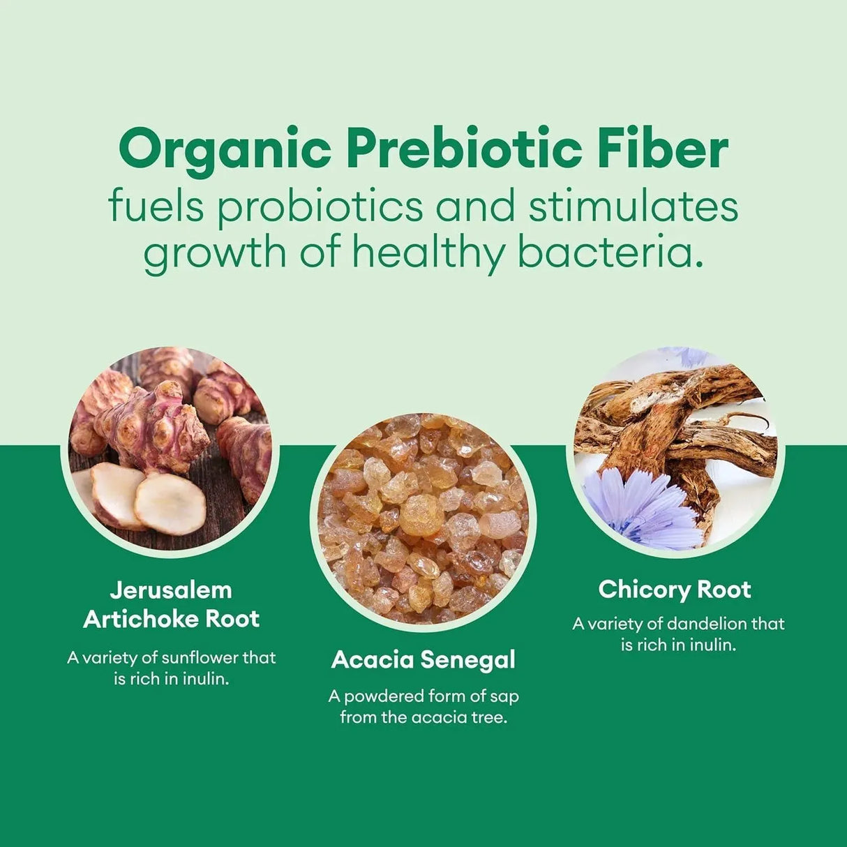 PHYSICIAN'S CHOICE - Physician's CHOICE Probiotics for Weight Management 60 Capsulas - The Red Vitamin MX - Suplementos Alimenticios - {{ shop.shopifyCountryName }}