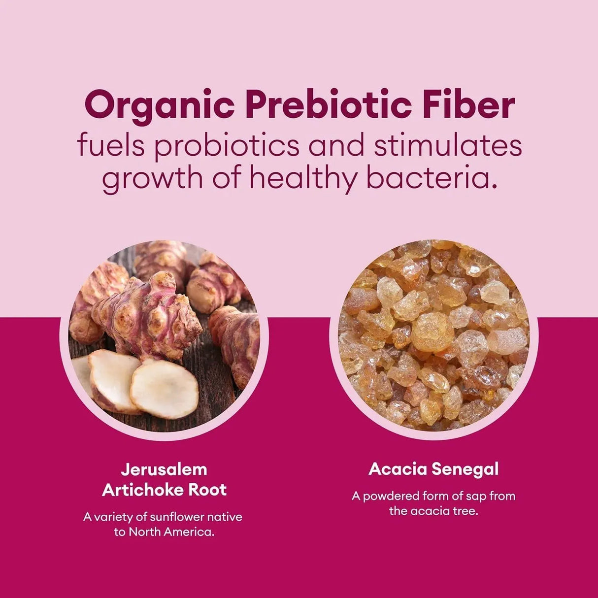 PHYSICIAN'S CHOICE - Physician's Choice Probiotics for Women 30 Capsulas - The Red Vitamin MX - Suplementos Alimenticios - {{ shop.shopifyCountryName }}