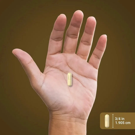 PIPING ROCK - Piping Rock Cordyceps Mushroom 2000Mg. 200 Capsulas - The Red Vitamin MX - Suplementos Alimenticios - {{ shop.shopifyCountryName }}