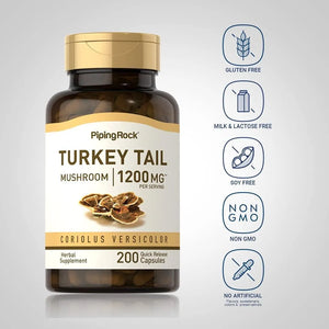 PIPING ROCK - Piping Rock Turkey Tail Mushroom 1200Mg. 120 Capsulas - The Red Vitamin MX - Suplementos Alimenticios - {{ shop.shopifyCountryName }}