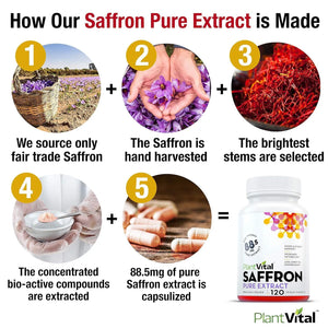 PLANT VITAL - Plantvital Saffron 88.5Mg. 120 Capsulas 2 Pack - The Red Vitamin MX - Suplementos Alimenticios - {{ shop.shopifyCountryName }}