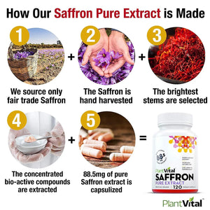 PLANT VITAL - Plantvital Saffron 88.5Mg. 120 Capsulas - The Red Vitamin MX - Suplementos Alimenticios - {{ shop.shopifyCountryName }}