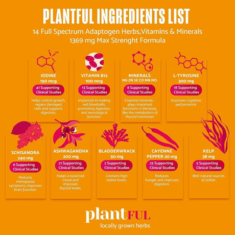 PLANTFUL RESEARCH - PLANTFUL RESEARCH Thyroid Support for Women 60 Capsulas - The Red Vitamin MX - Suplementos Alimenticios - {{ shop.shopifyCountryName }}