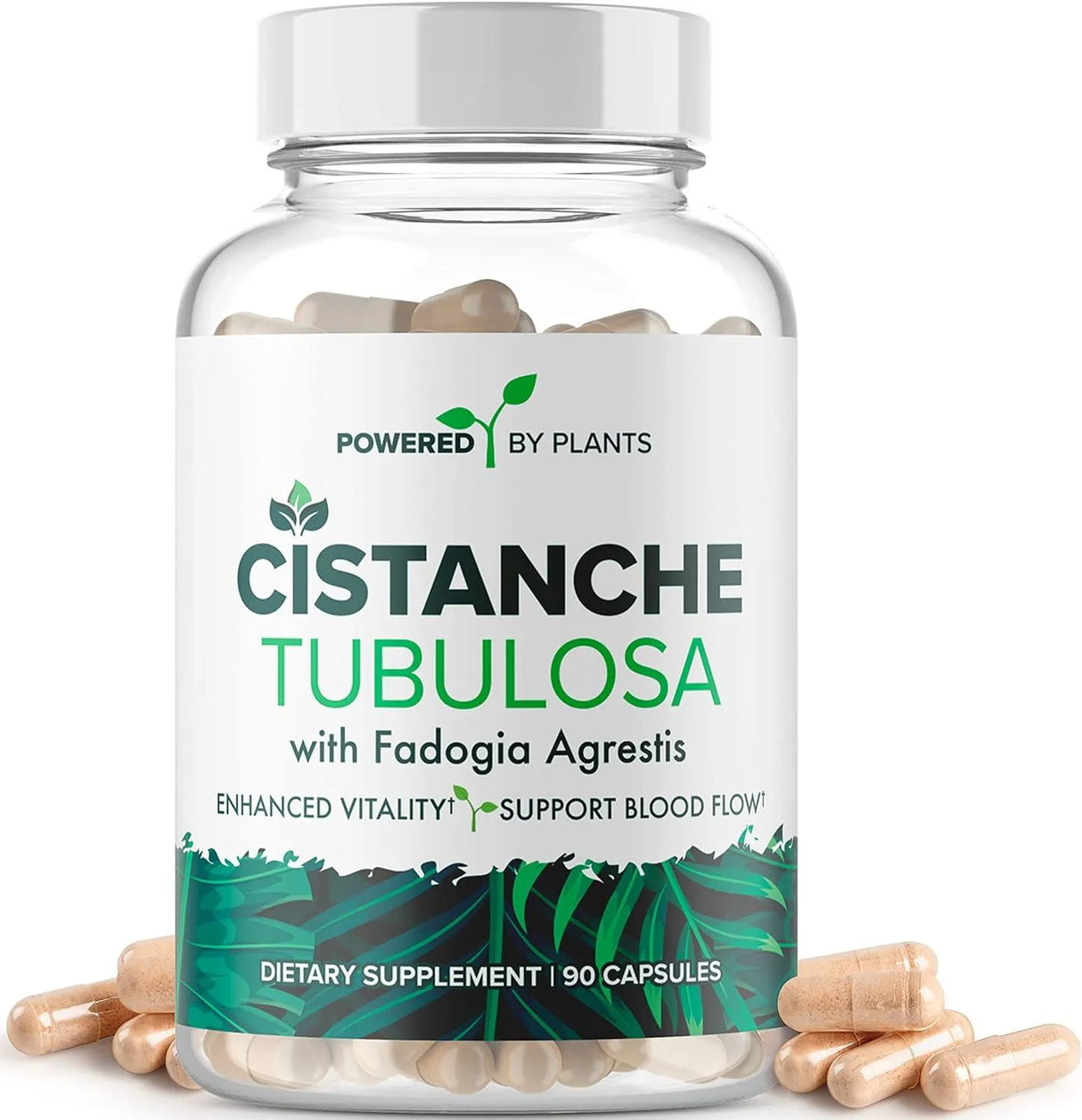 POWERED X PLANTS - POWERED X PLANTS Cistanche Tubulosa 500Mg. 90 Capsulas - The Red Vitamin MX - Suplementos Alimenticios - {{ shop.shopifyCountryName }}