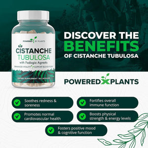 POWERED X PLANTS - POWERED X PLANTS Cistanche Tubulosa 500Mg. 90 Capsulas - The Red Vitamin MX - Suplementos Alimenticios - {{ shop.shopifyCountryName }}