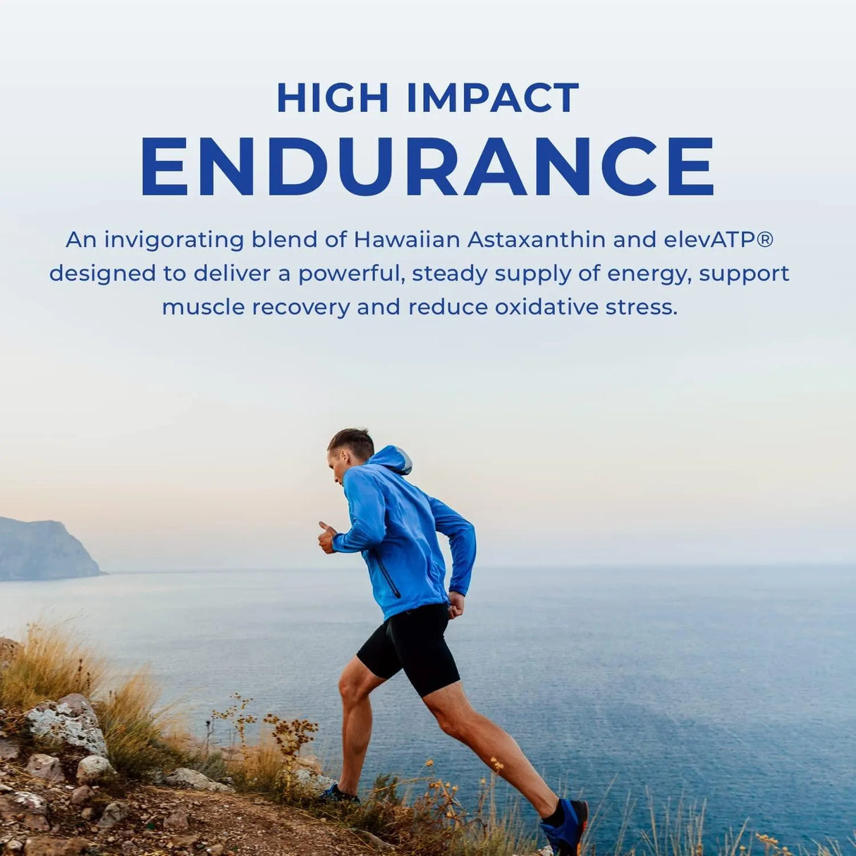 POWERLIFE - POWERLIFE Tony Horton High Impact Endurance 30 Capsulas - The Red Vitamin MX - Suplementos Alimenticios - {{ shop.shopifyCountryName }}