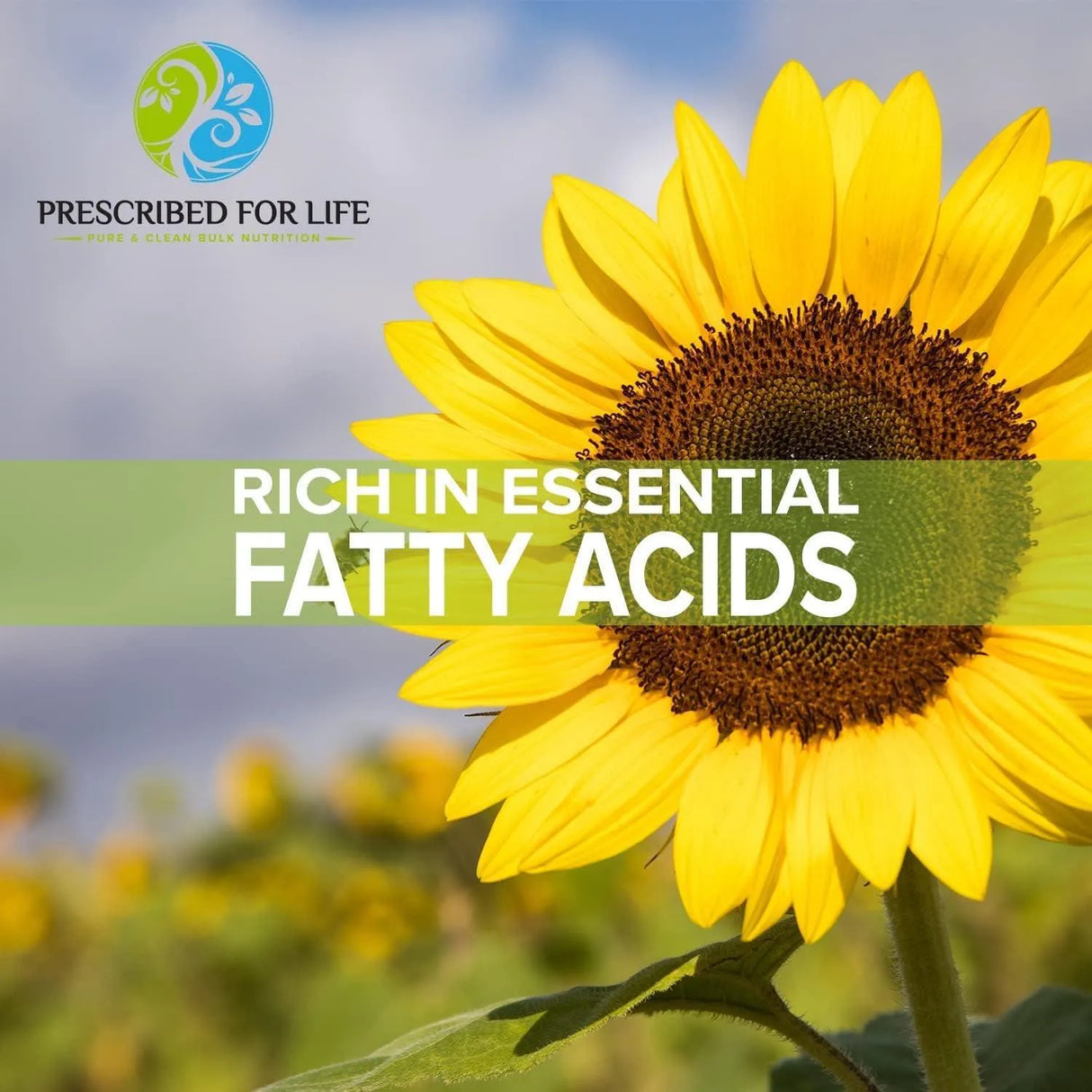 PRESCRIBED FOR LIFE - Prescribed For Life Sunflower Lecithin Powder 1Kg. - The Red Vitamin MX - Suplementos Alimenticios - {{ shop.shopifyCountryName }}