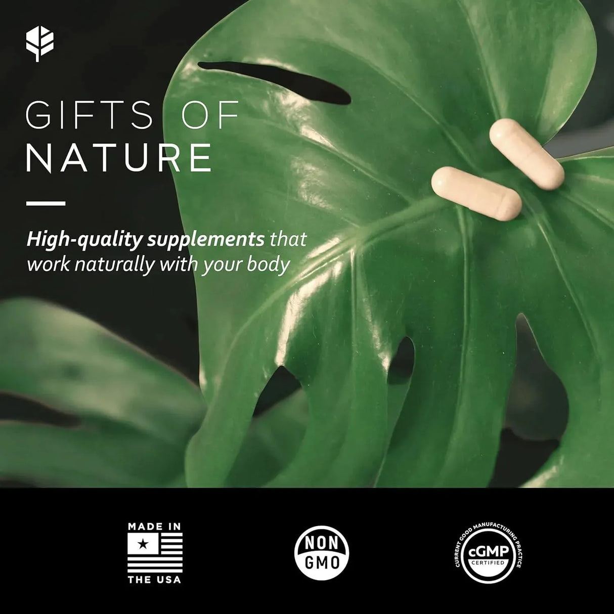PRIMITIVE SCIENTIFIC - Primitive Scientific Whole Food Multivitamin for Women 120 Capsulas - The Red Vitamin MX - Suplementos Alimenticios - {{ shop.shopifyCountryName }}