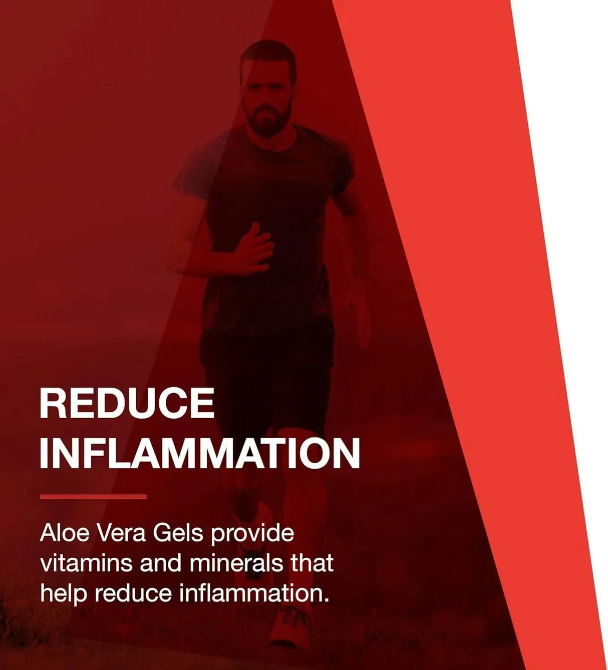 PROTOCOL FOR LIFE BALANCE - Protocol Aloe Vera Gels 100 Capsulas Blandas - The Red Vitamin MX - Suplementos Alimenticios - {{ shop.shopifyCountryName }}