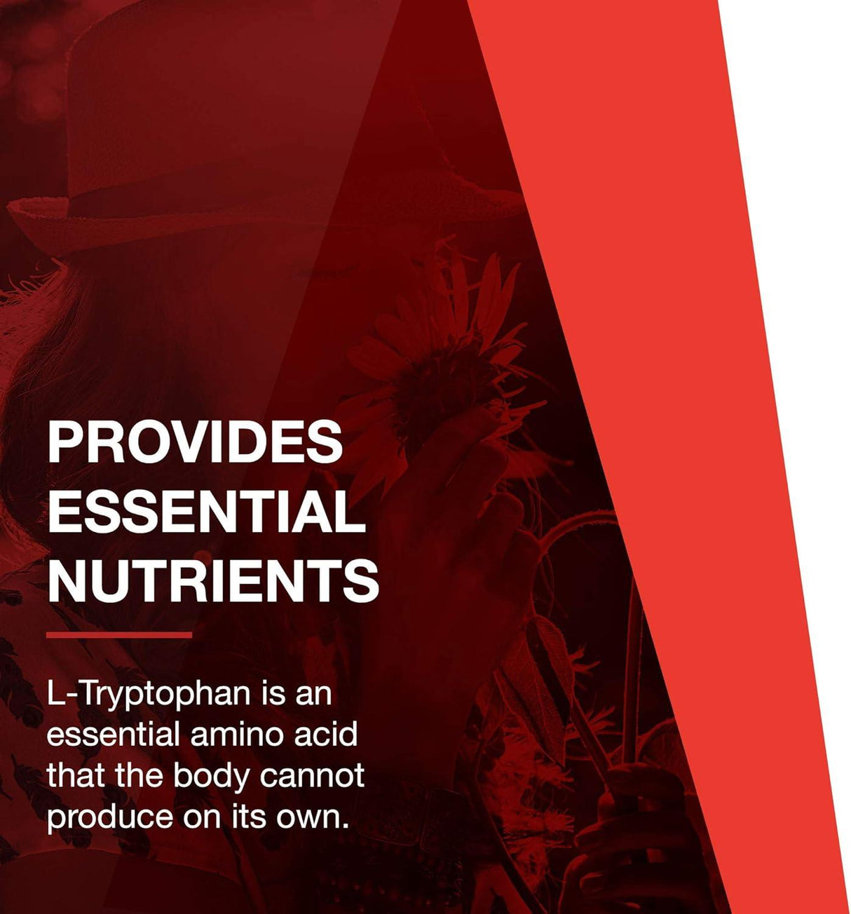 PROTOCOL FOR LIFE BALANCE - Protocol L-Tryptophan 1,000Mg. 60 Tabletas - The Red Vitamin MX - Suplementos Alimenticios - {{ shop.shopifyCountryName }}