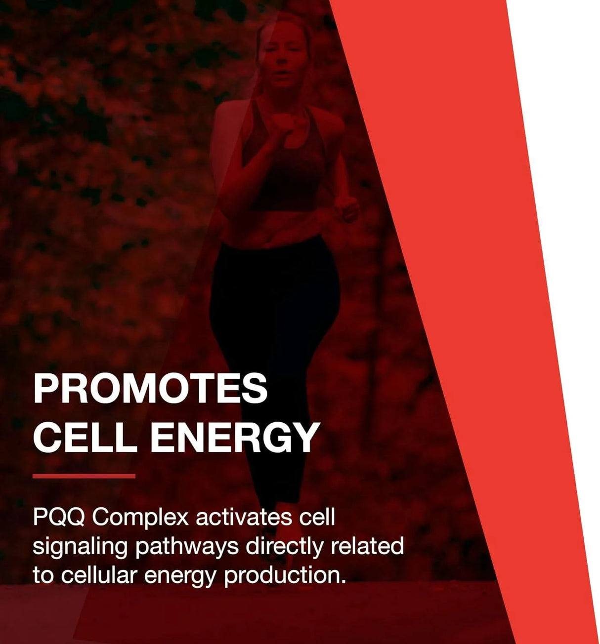 PROTOCOL FOR LIFE BALANCE - Protocol PQQ Complex 30 Capsulas - The Red Vitamin MX - Suplementos Alimenticios - {{ shop.shopifyCountryName }}