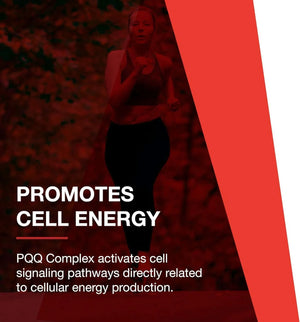 PROTOCOL FOR LIFE BALANCE - Protocol PQQ Complex 30 Capsulas - The Red Vitamin MX - Suplementos Alimenticios - {{ shop.shopifyCountryName }}