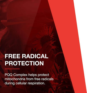 PROTOCOL FOR LIFE BALANCE - Protocol PQQ Complex 30 Capsulas - The Red Vitamin MX - Suplementos Alimenticios - {{ shop.shopifyCountryName }}