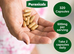 PURANICALS - Puranicals Gotu Kola 600Mg. 320 Capsulas - The Red Vitamin MX - Suplementos Alimenticios - {{ shop.shopifyCountryName }}