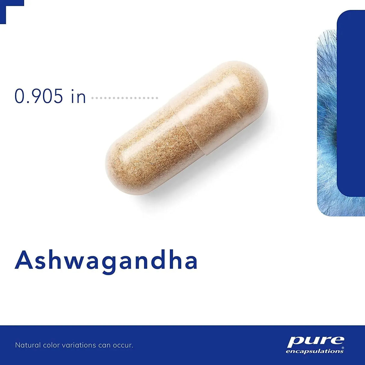 PURE ENCAPSULATIONS - Pure Encapsulations Ashwagandha 120 Capsulas - The Red Vitamin MX - Suplementos Alimenticios - {{ shop.shopifyCountryName }}