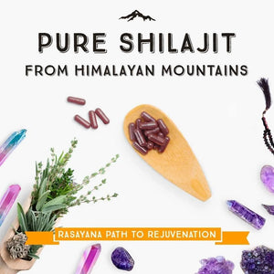 PURE HIMALAYAN SHILAJIT - Pure Himalayan Shilajit Capsules Extra Potent Shilajit 200Mg. 90 Capsulas - The Red Vitamin MX - Suplementos Alimenticios - {{ shop.shopifyCountryName }}