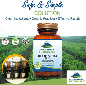 PURE MOUNTAIN BOTANICALS - Pure Mountain Botanicals Aloe Vera Plus 60 Capsulas - The Red Vitamin MX - Suplementos Alimenticios - {{ shop.shopifyCountryName }}