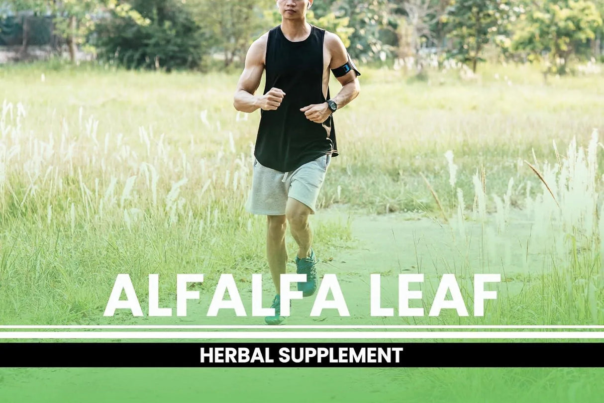 PURE ORIGINAL INGREDIENTS - Pure Original Ingredients Alfalfa Leaf 730 Capsulas - The Red Vitamin MX - Suplementos Alimenticios - {{ shop.shopifyCountryName }}