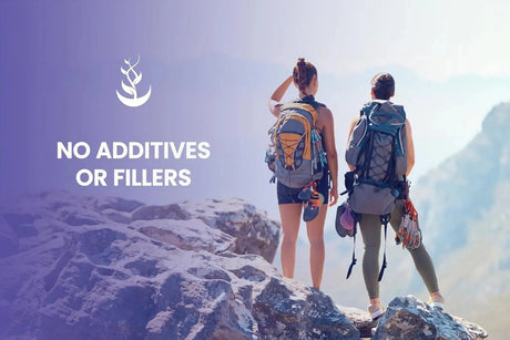 PURE ORIGINAL INGREDIENTS - Pure Original Ingredients Bilberry Extract 365 Capsulas - The Red Vitamin MX - Suplementos Alimenticios - {{ shop.shopifyCountryName }}