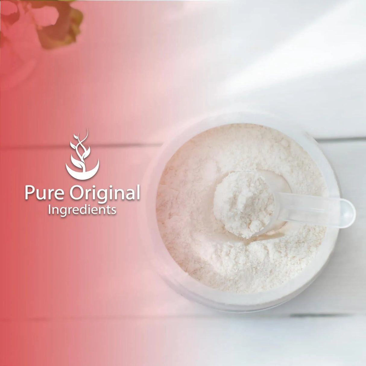 PURE ORIGINAL INGREDIENTS - Pure Original Ingredients L-Histidine Powder 113Gr. - The Red Vitamin MX - Suplementos Alimenticios - {{ shop.shopifyCountryName }}