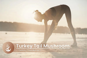 PURE ORIGINAL INGREDIENTS - Pure Original Ingredients Turkey Tail Mushroom 100 Capsulas - The Red Vitamin MX - Suplementos Alimenticios - {{ shop.shopifyCountryName }}