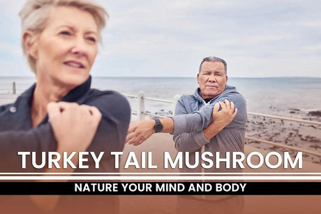 PURE ORIGINAL INGREDIENTS - Pure Original Ingredients Turkey Tail Mushroom 730 Capsulas - The Red Vitamin MX - Suplementos Alimenticios - {{ shop.shopifyCountryName }}