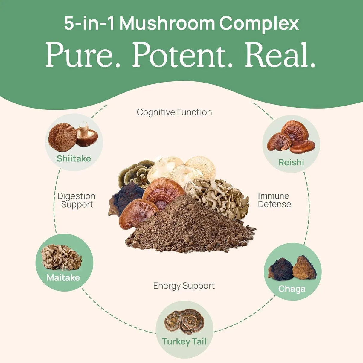 REAL MUSHROOMS - Real Mushrooms 5 Defenders 90 Capsulas - The Red Vitamin MX - Suplementos Alimenticios - {{ shop.shopifyCountryName }}