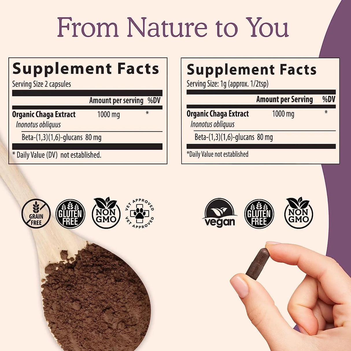 REAL MUSHROOMS - Real Mushrooms Chaga - The Red Vitamin MX - Suplementos Alimenticios - {{ shop.shopifyCountryName }}