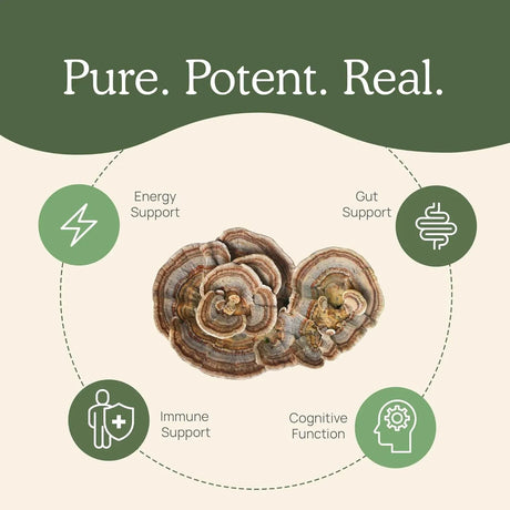 REAL MUSHROOMS - Real Mushrooms Turkey Tail Powder 45Gr. - The Red Vitamin MX - Suplementos Alimenticios - {{ shop.shopifyCountryName }}