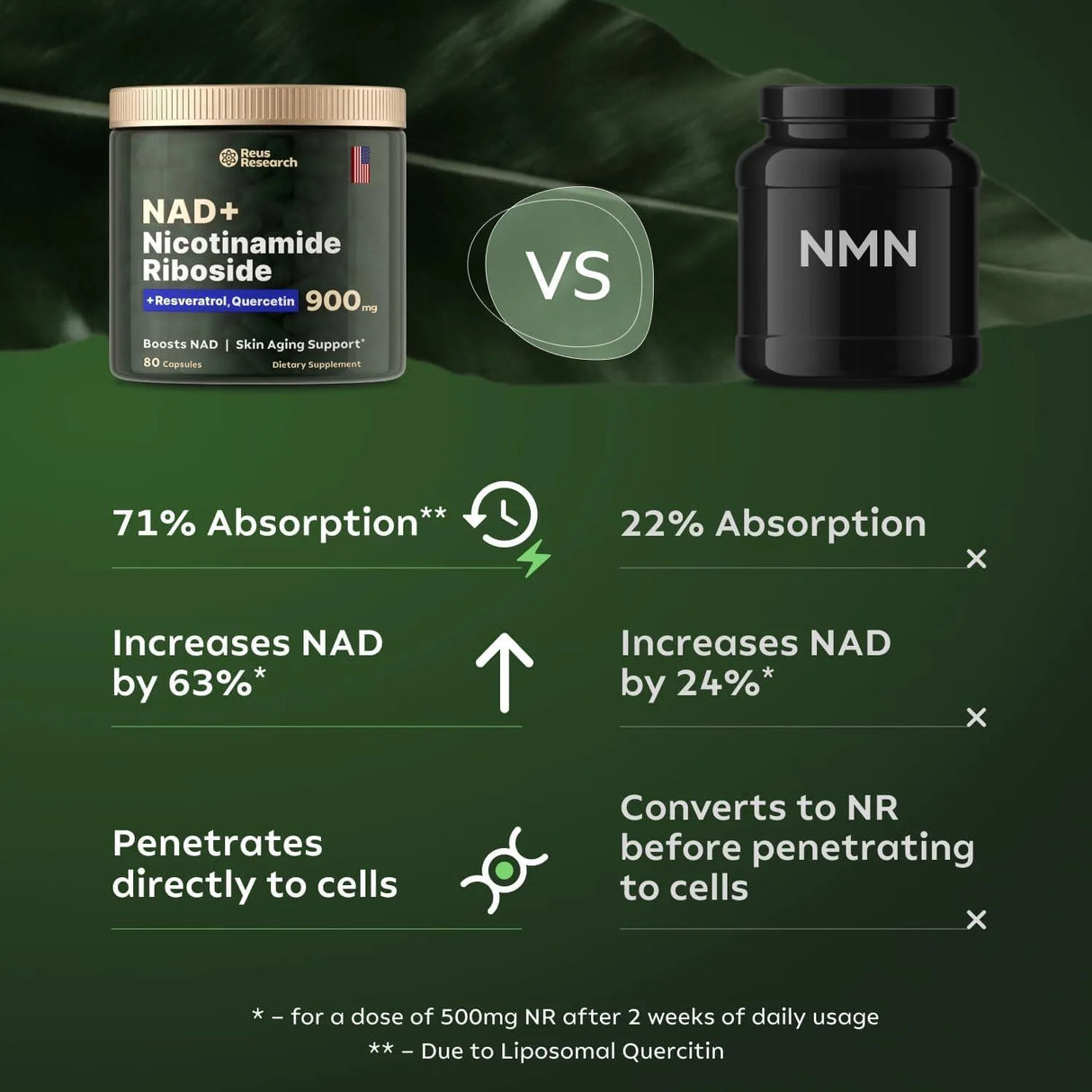 REUS RESEARCH - Reus Research Liposomal NAD Supplement 80 Capsulas - The Red Vitamin MX - Suplementos Alimenticios - {{ shop.shopifyCountryName }}