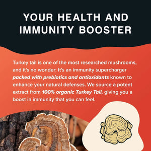 RISING TIDE - Rising Tide Turkey Tail Mushroom 113Gr. - The Red Vitamin MX - Suplementos Alimenticios - {{ shop.shopifyCountryName }}