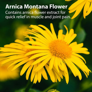 SANAR NATURALS - Sanar Naturals Arnica Roll On 3 Oz. - The Red Vitamin MX - Suplementos Alimenticios - {{ shop.shopifyCountryName }}