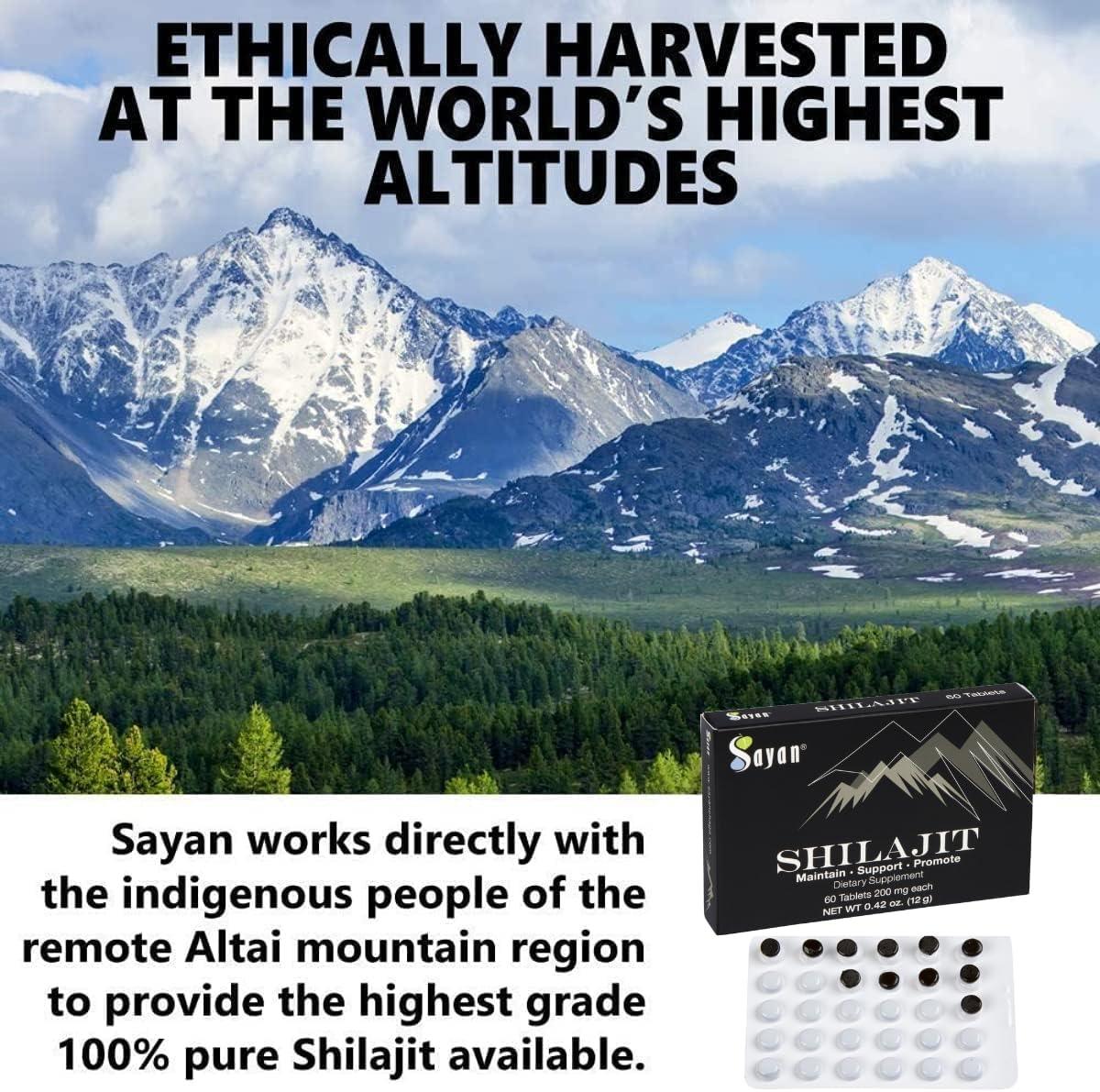 SAYAN - Sayan Pure Shilajit Genuine Black Resin Mineral Pitch Tablets 60 Tabletas - The Red Vitamin MX - Suplementos Alimenticios - {{ shop.shopifyCountryName }}