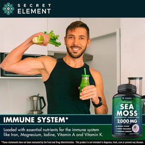 SECRET ELEMENT - Secret Element Organic Sea Moss 120 Capsulas - The Red Vitamin MX - Suplementos Alimenticios - {{ shop.shopifyCountryName }}