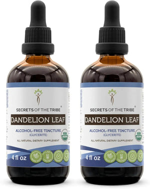 SECRETS OF THE TRIBE - Secrets of the Tribe Dandelion Leaf 4 Fl.Oz. 2 Pack - The Red Vitamin MX - Suplementos Alimenticios - {{ shop.shopifyCountryName }}