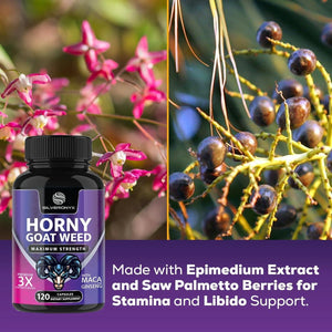 SILVERONYX - SILVERONYX Extra Strength Horny Goat Weed Extract 1560Mg. 120 Capsulas - The Red Vitamin MX - Suplementos Alimenticios - {{ shop.shopifyCountryName }}